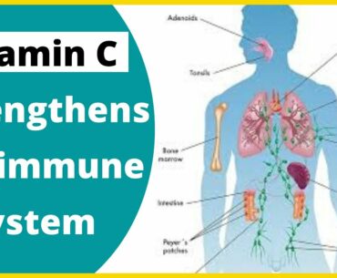 Why The Immune System Needs More Vitamin C ? #StayHome Learn #WithMe