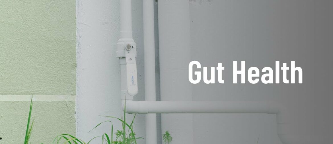 EPISODE 7 GUT HEALTH