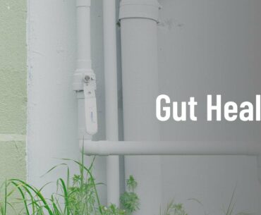 EPISODE 7 GUT HEALTH