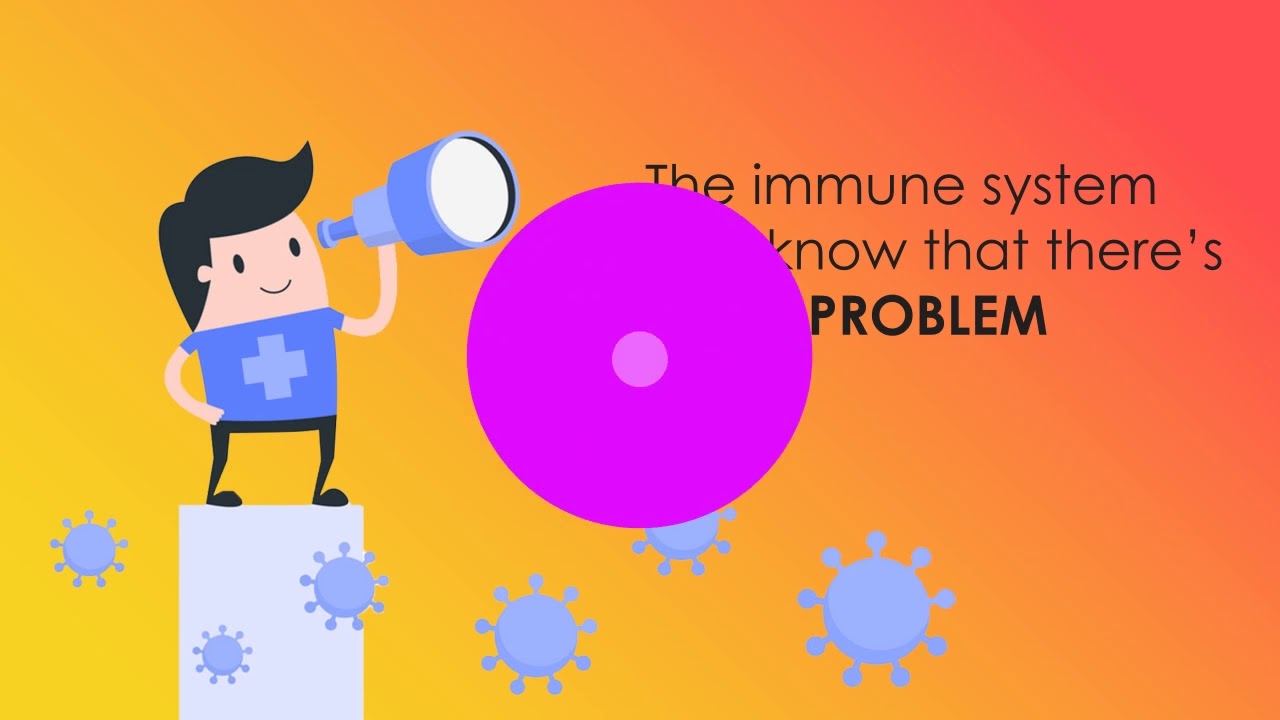Vitamin C and Immune System