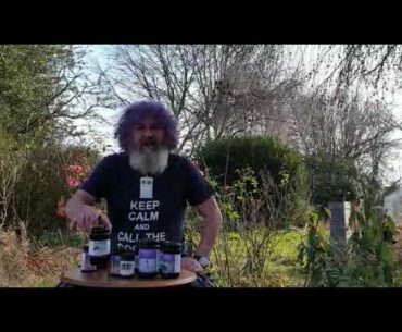 Robert Franz Corona Virus