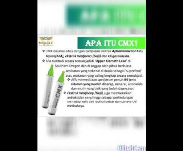 CMX THE BEST NUTRITION