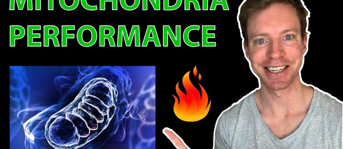 ALPHA LIPOIC ACID (ALA) Boosts Performance & Anti Aging 2020