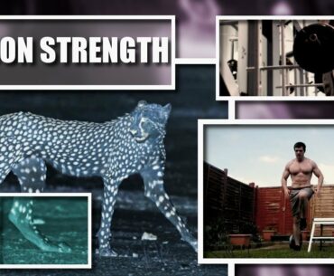 Tendon Training - Tendons Like Steel Cables!