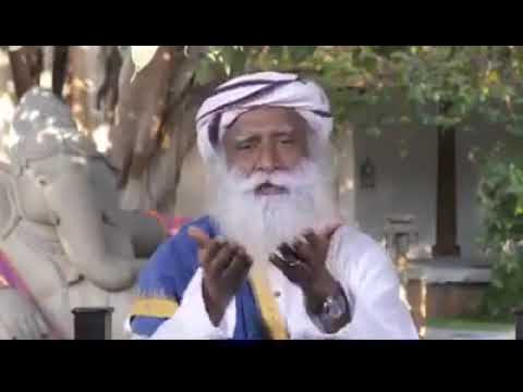 Recipe to strengthen immune system to prevent infections (including Coronavirus)