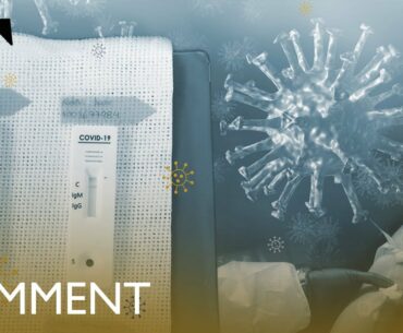 Covid-19 antibody tests explained | Comment
