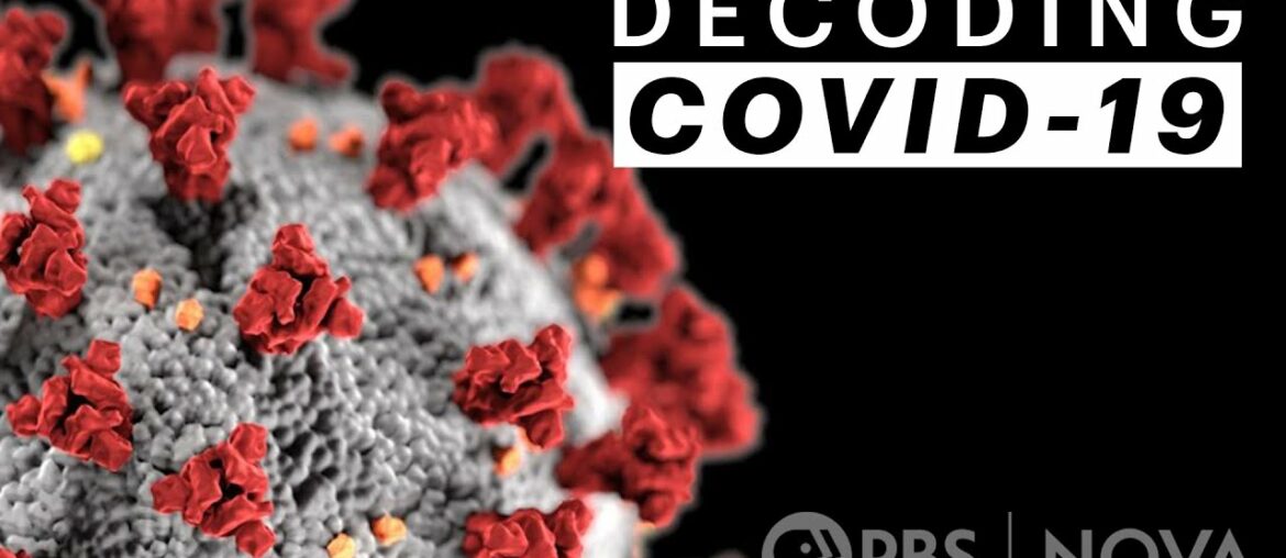 Decoding COVID-19 | NOVA | PBS
