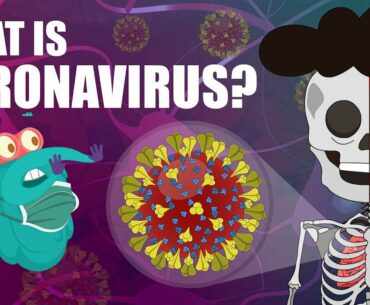 CORONAVIRUS | What Is Coronavirus? | Coronavirus Outbreak | The Dr Binocs Show | Peekaboo Kidz