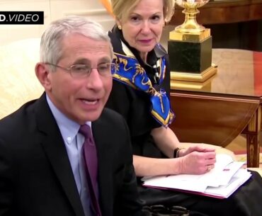 VIDEO 91)- Trump & Doctors Say Hydroxychloroquine Works Against COVID19. Watch B4 it gets deleted!