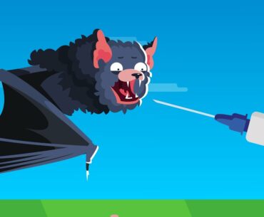 Scientists Discover 6 New Coronaviruses In Bats