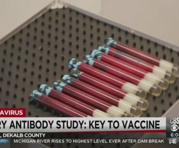 Emory studies on COVID-19 antibodies are key to understanding immunity