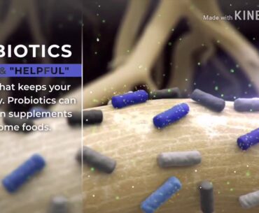 Download now a book Advanced Nutrition and Human Metabolism To understand digestive system