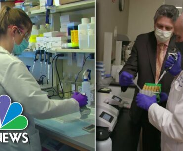 Coronavirus: Top Labs See Real Progress On Immunity, Vaccine | NBC Nightly News