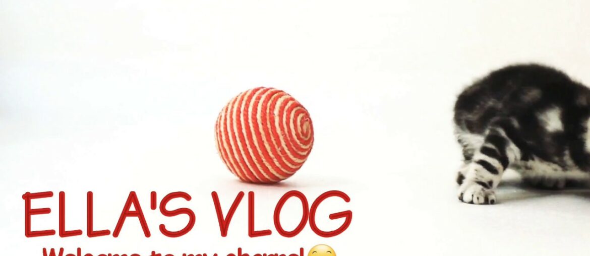 Tips on How to make vitamin c to prevent covid19