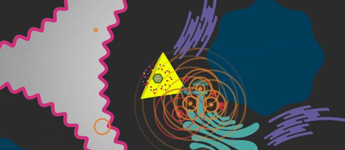 How Viruses Evade the Innate Immune System