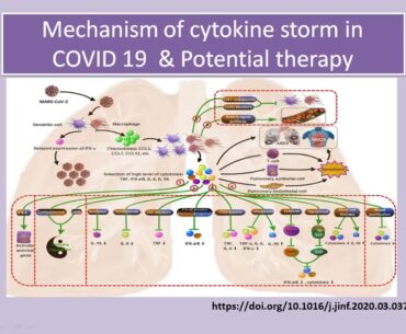 How Vitamin D Deficiency Related with COVID 19?