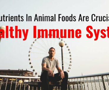Key Nutrients in Animal Foods are Crucial for a Healthy Immune System