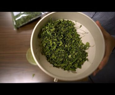 Is Moringa the Next Superfood?