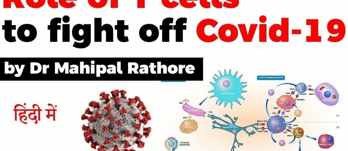 What are T cells? Role of T-cells to fight off COVID19 explained, Current Affairs 2020 #UPSC2020