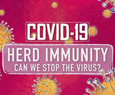 How herd immunity from coronavirus is developed
