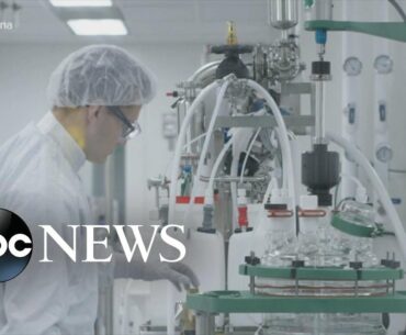 US company sees promise in COVID-19 vaccine trial | WNT