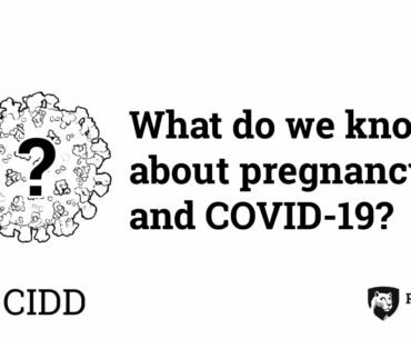 What do we know about pregnancy and COVID-19? | Ask CIDD