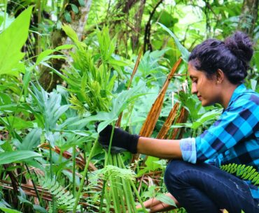 Gifts of nature for being beautiful & healthy || kohila | part1| poorna - The nature girl