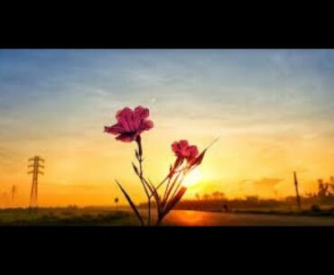 Natural Vitamin D from Sunshine As Protection Against Many Diseases Including Depression and COVID19