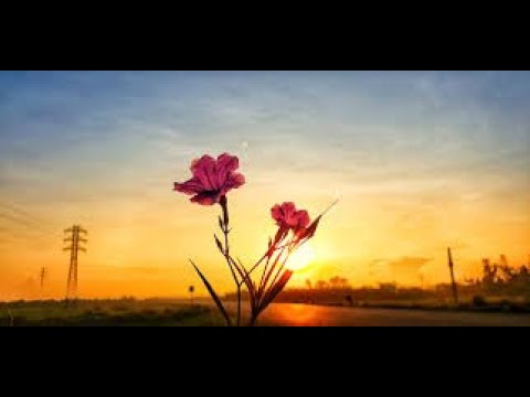 Natural Vitamin D from Sunshine As Protection Against Many Diseases Including Depression and COVID19