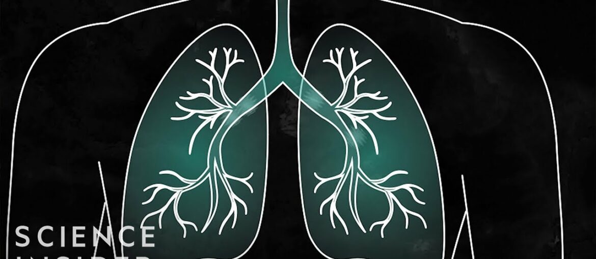 What Coronavirus Symptoms Look Like, Day By Day