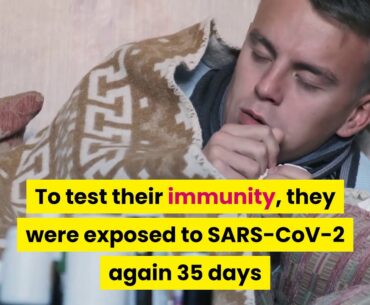 Monkeys develop coronavirus immunity after infection