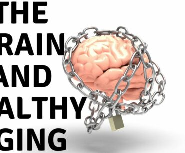 The Brain and Healthy Aging