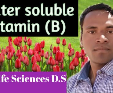 Water soluble vitamin (B)
