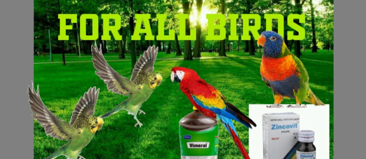 Multivitamin supplements for all birds in tamil