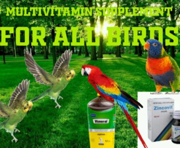 Multivitamin supplements for all birds in tamil