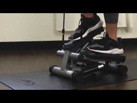 Sunny Health & Fitness Mini Stepper