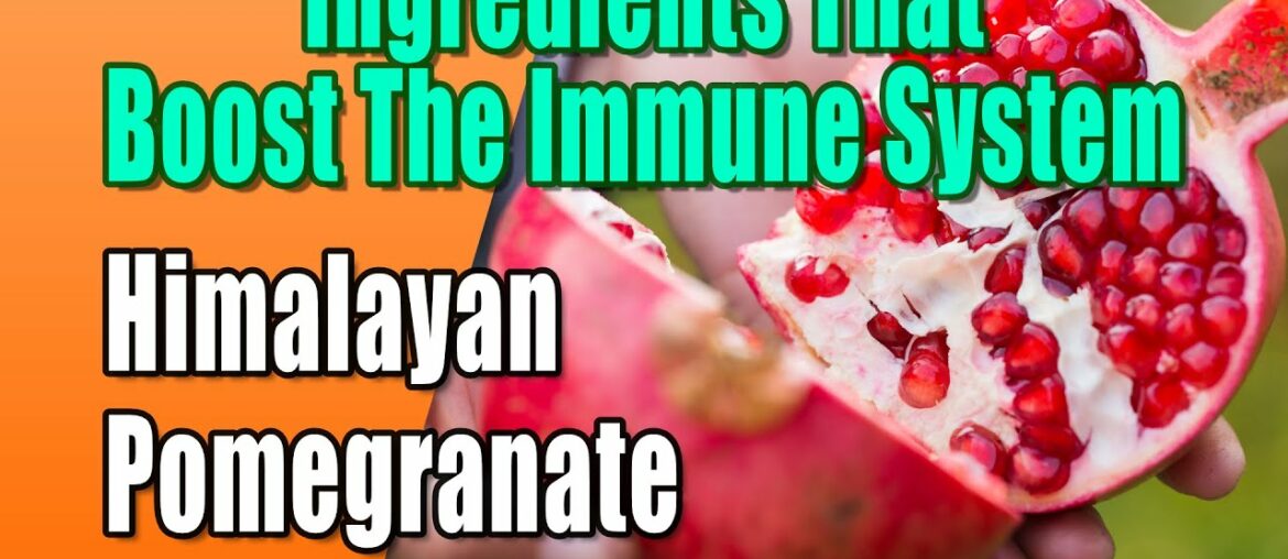 Foods and Ingredients That Boost The Immune System - Himalayan Pomegranate