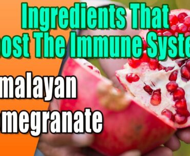 Foods and Ingredients That Boost The Immune System - Himalayan Pomegranate