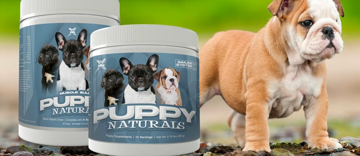 Muscle Bully Puppy Naturals Multi-Vitamin Chews and Immunity Supplement for Puppies.
