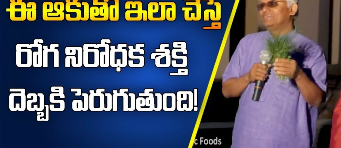 Leaf That Increase Immunity Power || Dr Khader Vali || SumanTV Organic Foods