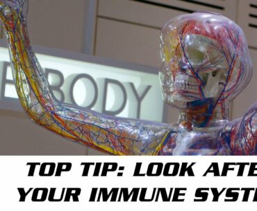 Top Tip: Look after your Immune System