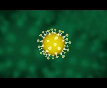 Boosting Your Immunity to fight against Covid-19 | Say no to Corona | Stay Healthy, Stay Safe |