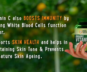Himalayan Organics Organic Vitamin C | Immunity & Wellbeing