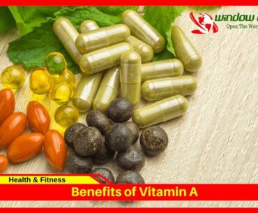 Vitamin A: Benefits, Rules of Use and Side Effects