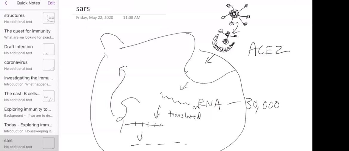 Exploring immunity to COVID-19 with IEDB.org