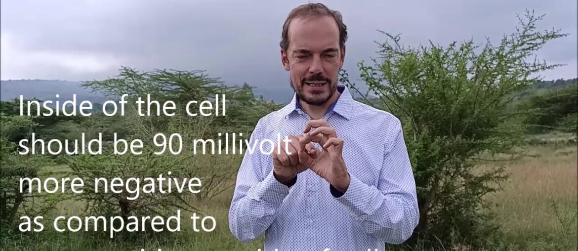 The most important Vitamin