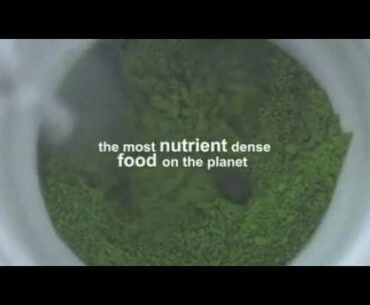 Vestige Spirulina | Health Supplement | Immunity Boost Product | Vestige Marketing Private Limited |