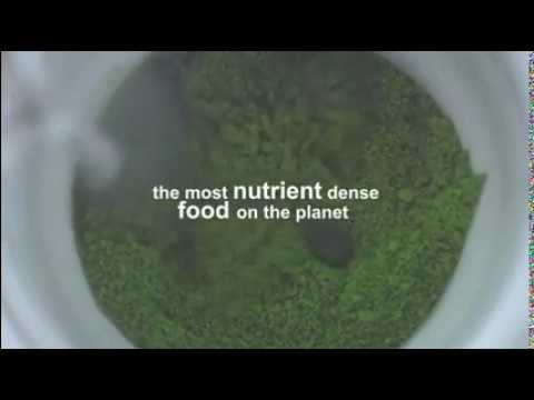 Vestige Spirulina | Health Supplement | Immunity Boost Product | Vestige Marketing Private Limited |