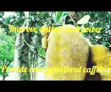 Nutritional Values and Health Benefits of Jackfruit
