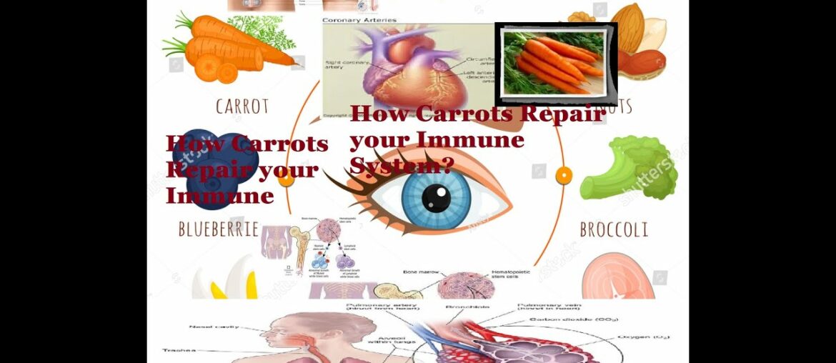 How Carrots Repair your Immune System?